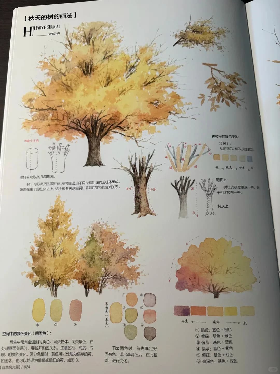 2025 nouveau livre de tutoriel aquarelle pour débutants paysage fleur jardin paysage dessin compéten