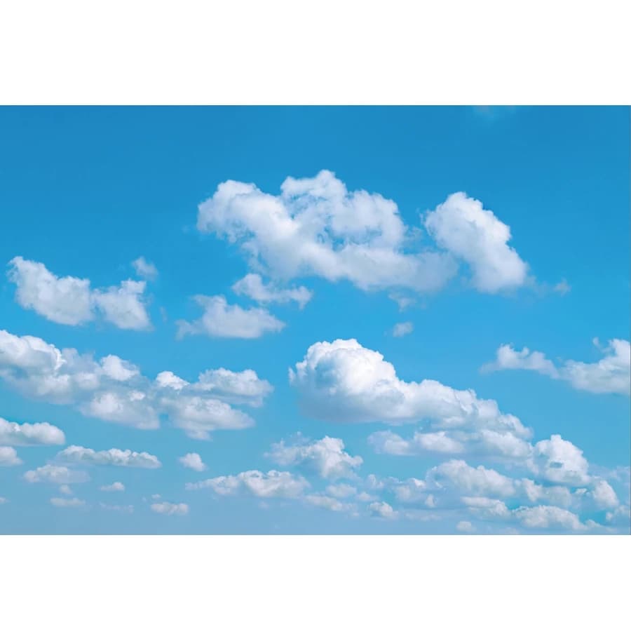 Toile de fond pour photographie de paysage naturel, ciel bleu, nuage, plage, palmier, décor pour voy