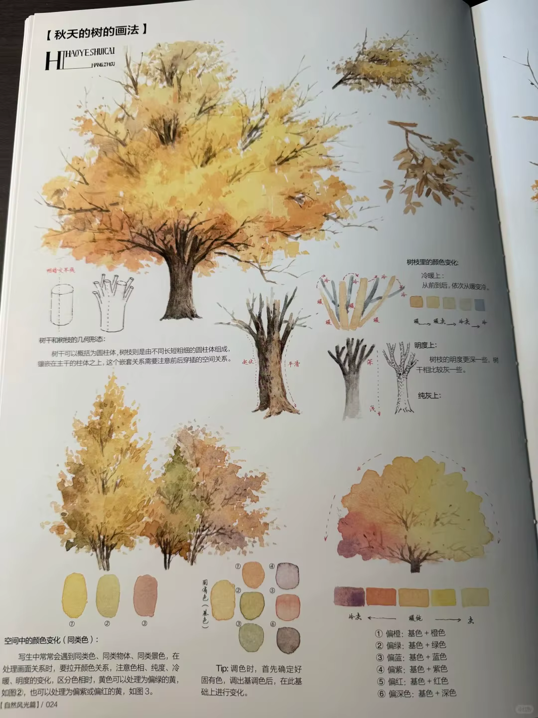 2025 nouveau livre de tutoriel aquarelle pour débutants paysage fleur jardin paysage dessin compéten