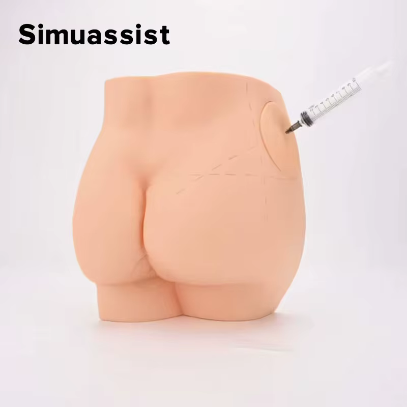 Modèle de pratique d'injection de fesse, simulateur de Silicone d'injection intramusculaire musculai