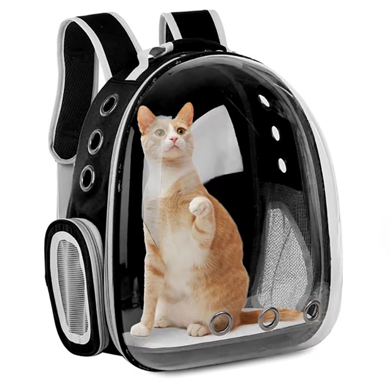 Sac à dos de transport pour animaux de compagnie, Capsule transparente, bulle, petit Animal, chiot, 
