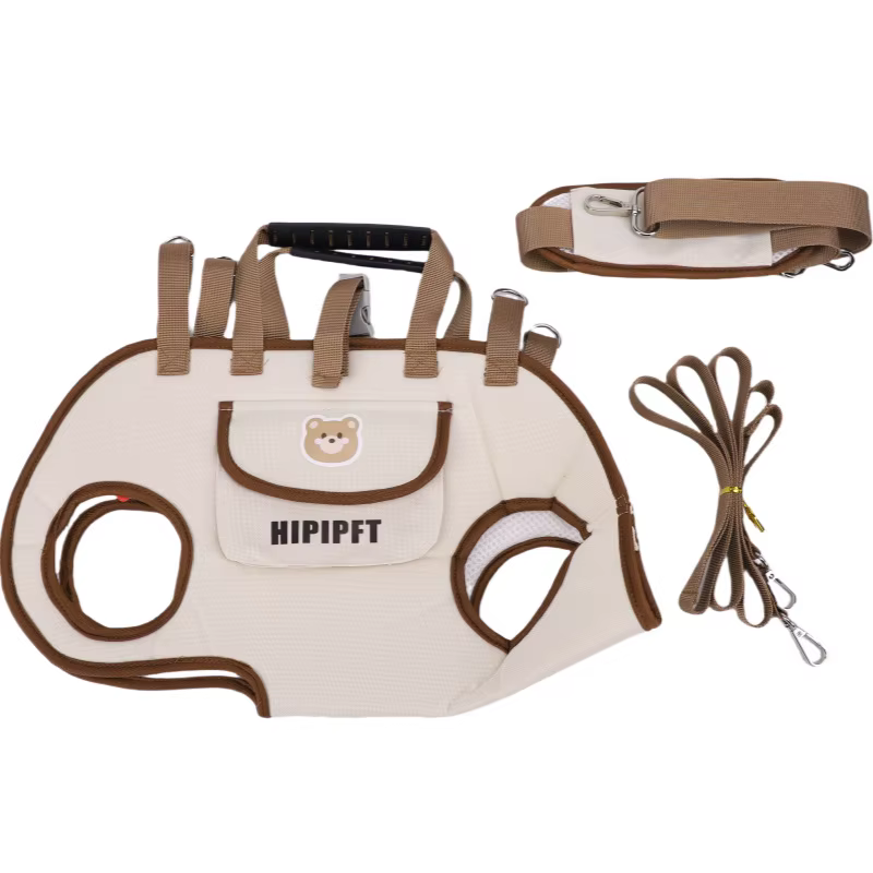 Sac à dos avec harnais pour chien, Portable, laisse respirante pour chats, épaule ou main réglables,