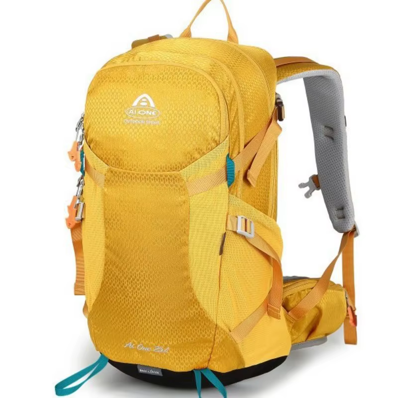 Sac à dos d'extérieur au Design classique