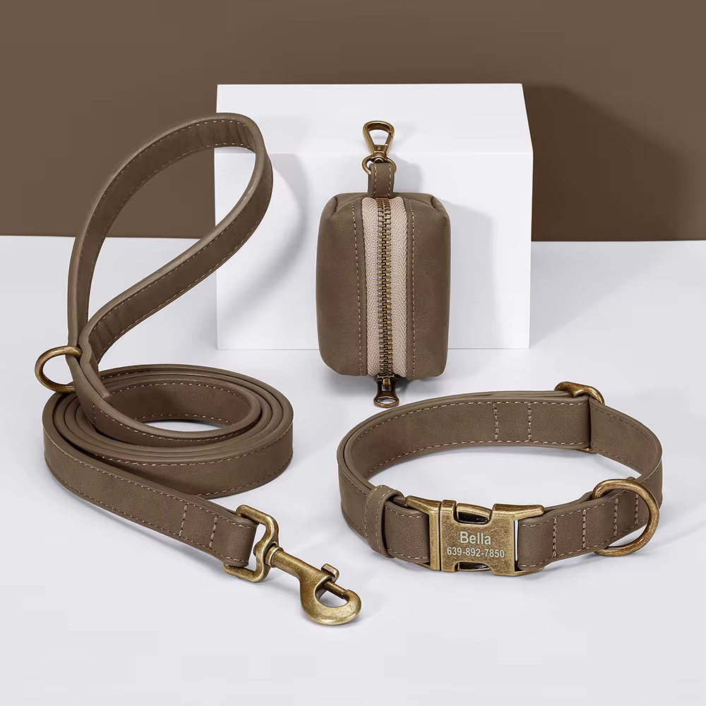 Ensemble de sacs de laisse de collier de chien personnalisés colliers