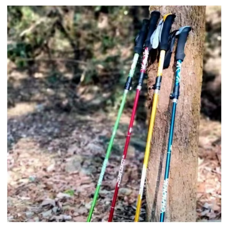 Bâtons de randonnée ultralégers